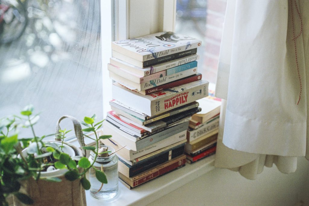 Livros empilhados em uma janela ao lado de uma planta como exemplo de como organizar livros.