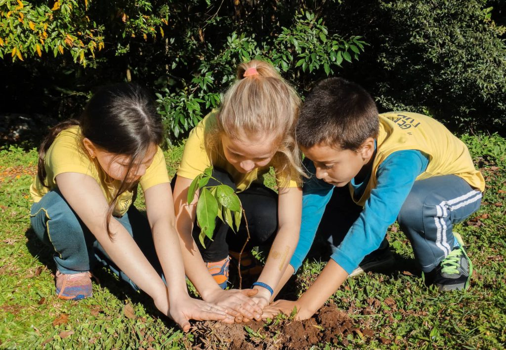 Crianças plantando muda de árvore na Madesa Móveis.