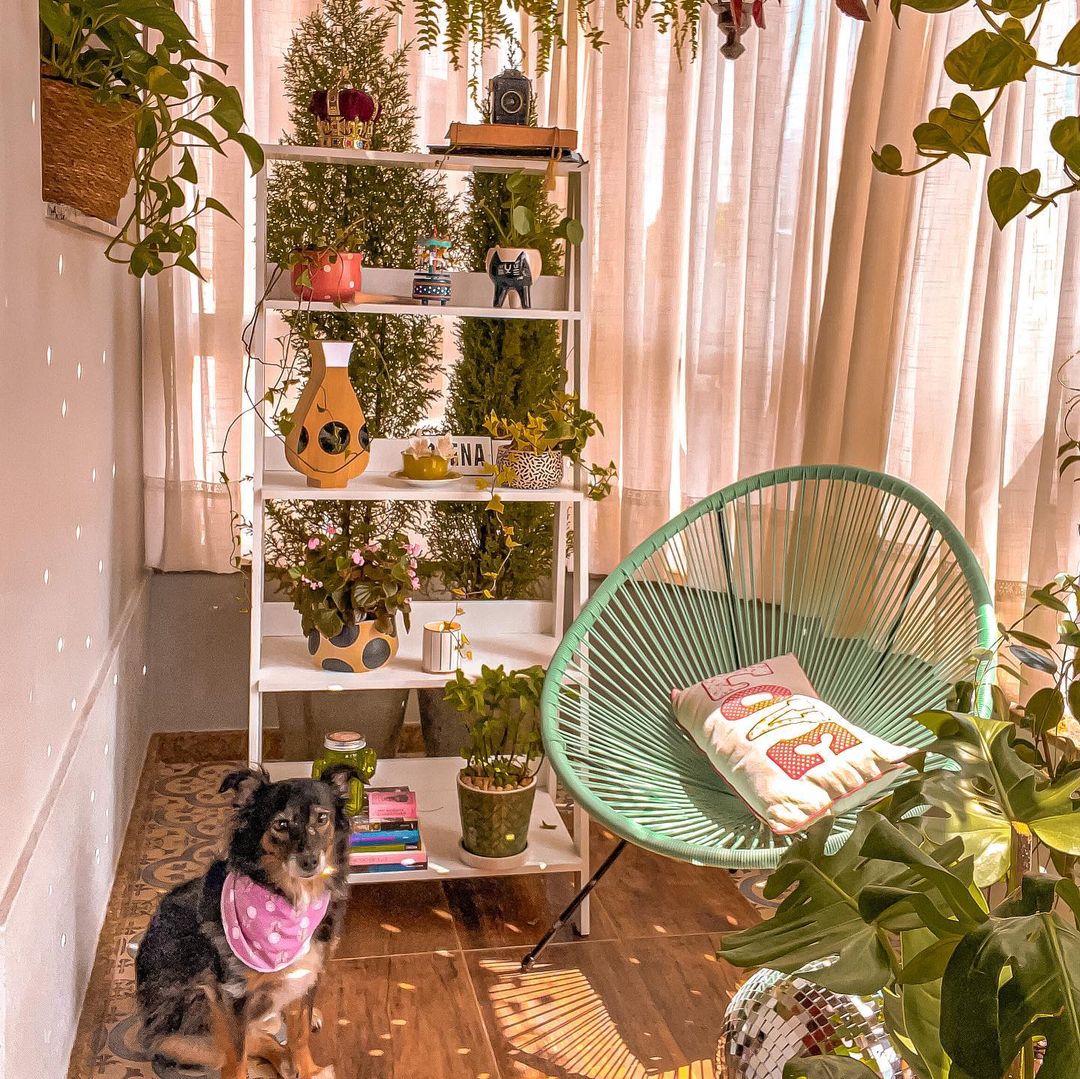 imagem interna de um espaço repleto de plantas, com uma poltrona ao lado e, em foco, um móvel de prateleiras estilo escada com diversos vasos de decoração. Na frente do móvel, um cachorro malhado com um lenço rosa ao pescoço encara a câmera