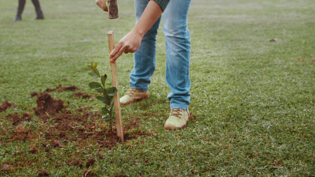 A imagem ilustra um homem plantando uma árvore, simbolizando que a cozinha dos sonhos Madesa é sustentável.