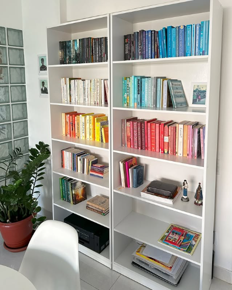Duas estantes brancas com livros organizados por cor. Ao lado, uma planta e um painel de blocos de vidro.