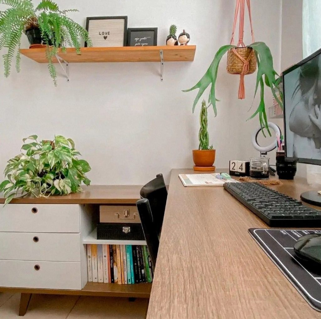 Mesa de trabalho com plantas verdes em vasos, prateleira de madeira com quadros e plantas penduradas, e parede branca ao fundo.