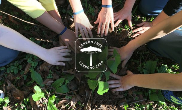 Mãos de várias pessoas plantando uma muda de árvore na terra.
