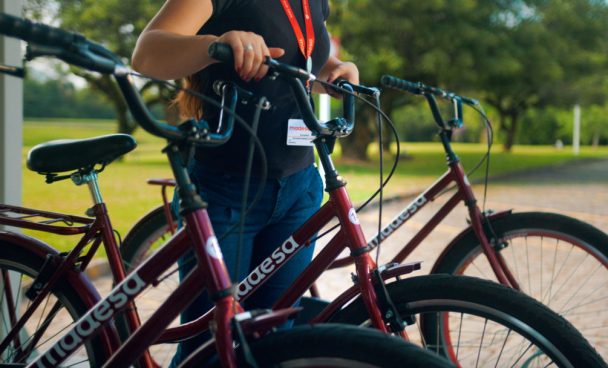 Frames Vem Pra Madesa 20