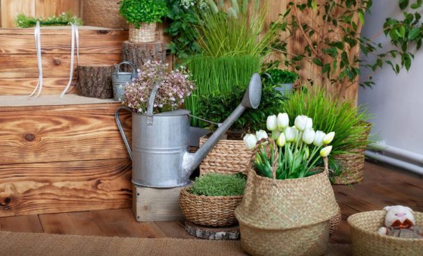 Como decorar o jardim