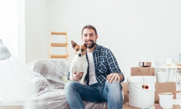 cantinho pet: como fazer em casa