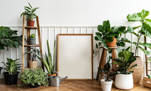 A imagem ilustra um jardim de inverno na sala, com plantas espalhadas pelo chão de madeira, com um quadro em branco no centro. As paredes também são brancas.