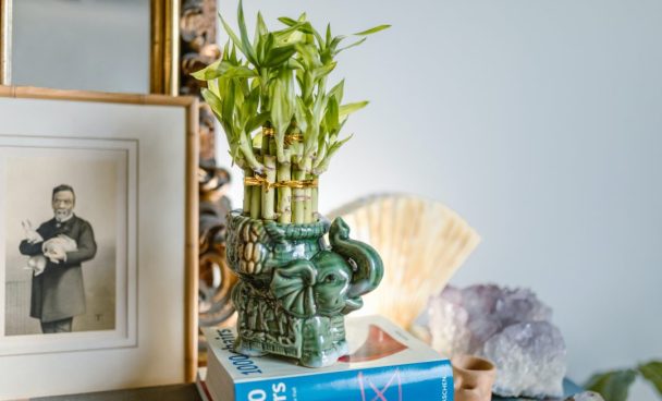 feng-shui-como-funciona