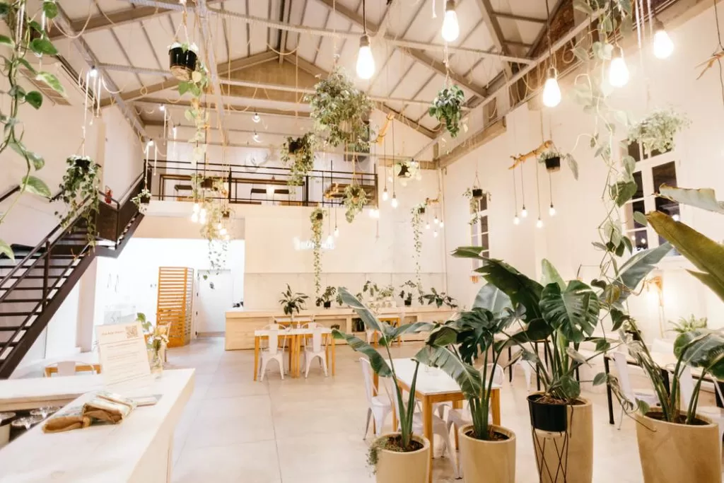 Casa em conceito aberto decorada com plantas.