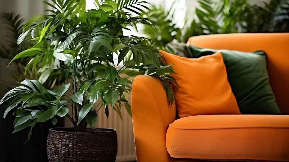  uma sala com decoração branca, verde e laranja está em destaque. Ela contém um sofá laranja, almofadas verdes e um vaso de plantas com folhagens em foco. Ao fundo, uma parede branca e uma janela ilumina o ambiente.