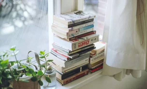 Livros empilhados em uma janela ao lado de uma planta como exemplo de como organizar livros.